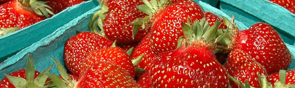 Strawberries banner