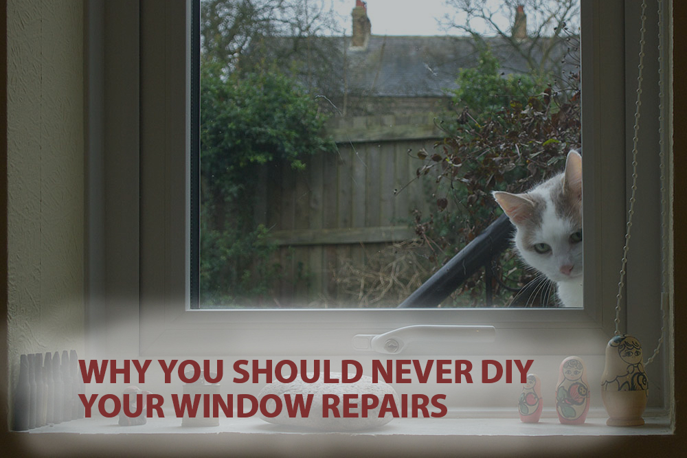 Why You Should Never DIY Window Repairs
