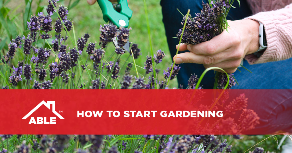 How to Start Gardening